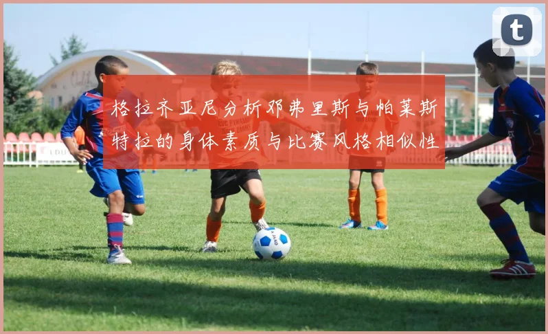 格拉齐亚尼分析邓弗里斯与帕莱斯特拉的身体素质与比赛风格相似性