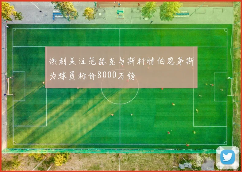 热刺关注范赫克与斯科特伯恩茅斯为球员标价8000万镑