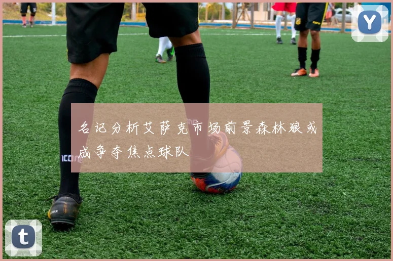 名记分析艾萨克市场前景森林狼或成争夺焦点球队