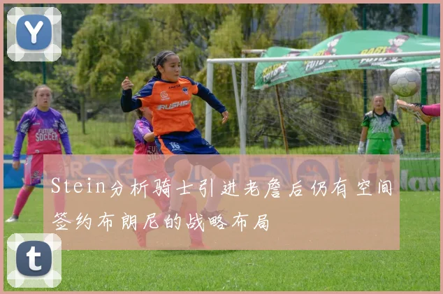 Stein分析骑士引进老詹后仍有空间签约布朗尼的战略布局